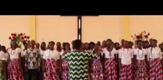 Coral Monte Sinai coral monte sinai