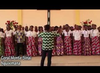 Coral Monte Sinai coral monte sinai